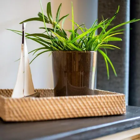 Apartmán Fleesennest